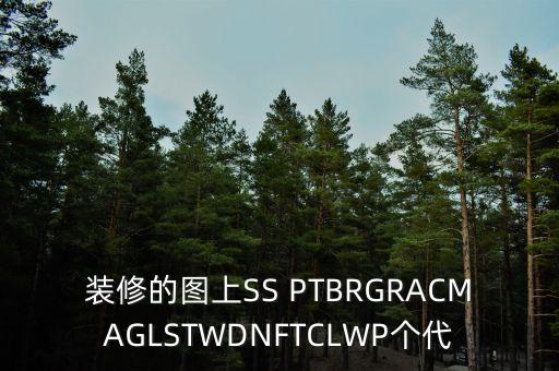 裝修的圖上SS PTBRGRACMAGLSTWDNFTCLWP個(gè)代