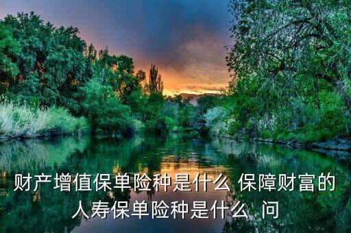 什么是財(cái)產(chǎn)保值，什么是資產(chǎn)保全