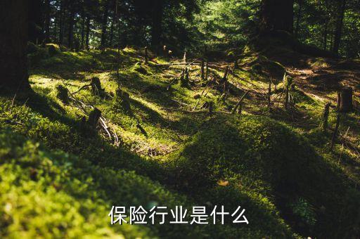 保險(xiǎn)行業(yè)是什么