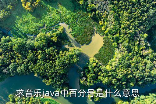 求音樂java中百分號(hào)是什么意思