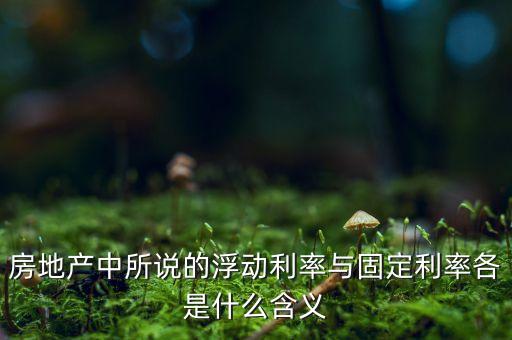 房地產(chǎn)中所說的浮動利率與固定利率各是什么含義