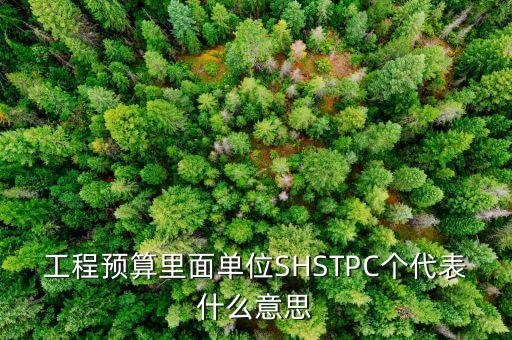 工程預(yù)算里面單位SHSTPC個(gè)代表什么意思