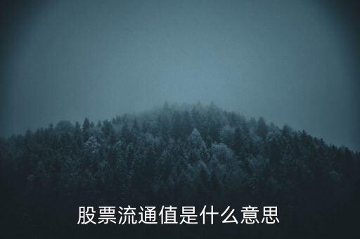 股票流通值是什么意思