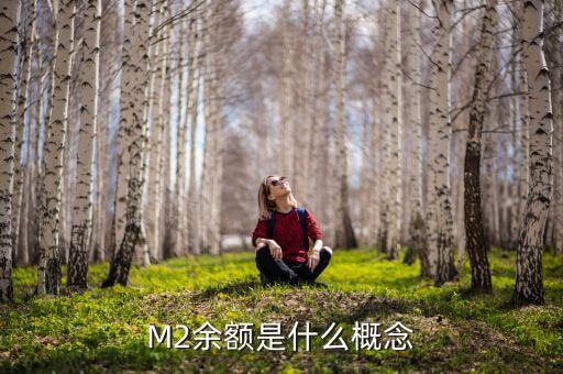 M2余額是什么概念