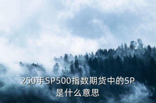 sp500是什么意思，嘉陵摩托車發(fā)動(dòng)機(jī)上寫著sp500跟133U是什么意思啊