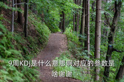 9周KDJ是什么意思啊對(duì)應(yīng)的參數(shù)是啥謝謝