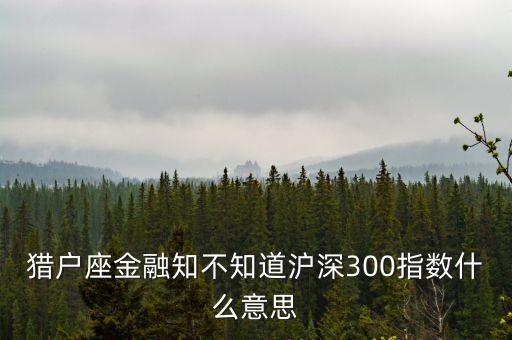 300金融是什么意思，獵戶座金融知不知道滬深300指數(shù)什么意思