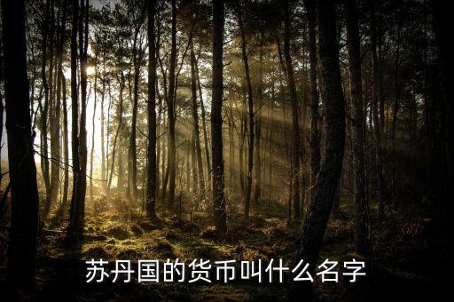 蘇丹國(guó)的貨幣叫什么名字