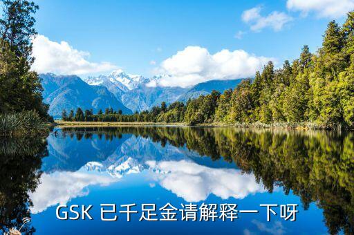 GSK 已千足金請(qǐng)解釋一下呀