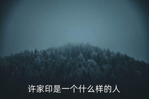 許家印是一個什么樣的人