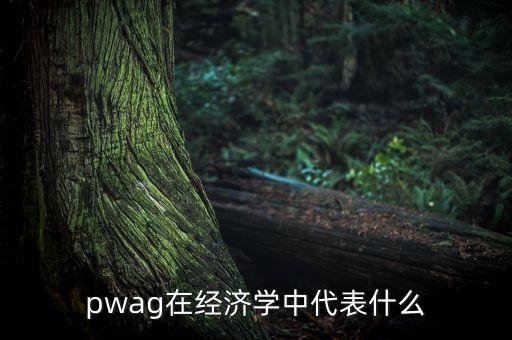 pwag在經(jīng)濟(jì)學(xué)中代表什么