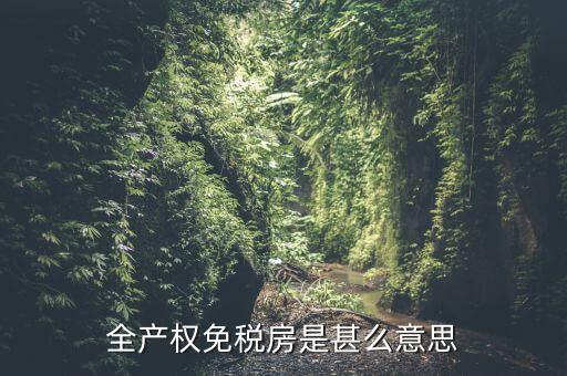 全產(chǎn)權(quán)免稅房是甚么意思