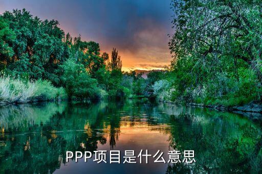 PPP項(xiàng)目是什么意思