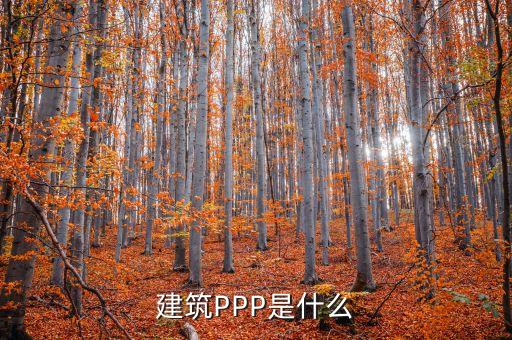 建筑PPP是什么