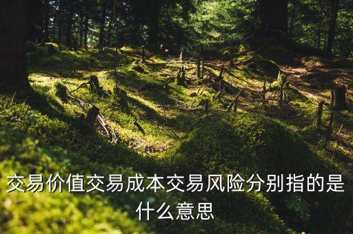 交易成本是什么，什么是交易費(fèi)用