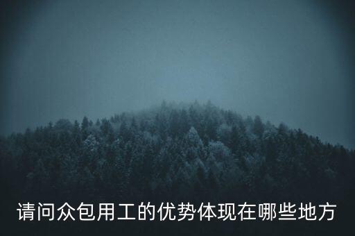 請(qǐng)問(wèn)眾包用工的優(yōu)勢(shì)體現(xiàn)在哪些地方