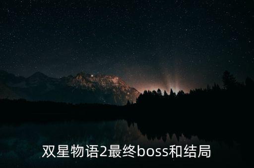 雙星汪海干什么去了，雙星 董事長