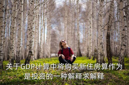 關(guān)于GDP計算中將購買新住房算作為是投資的一種解釋求解釋