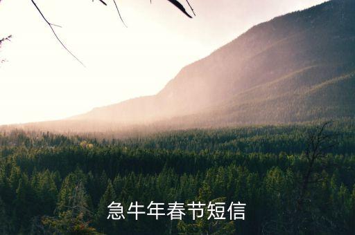 什么是股票的對(duì)子頂，急牛年春節(jié)短信