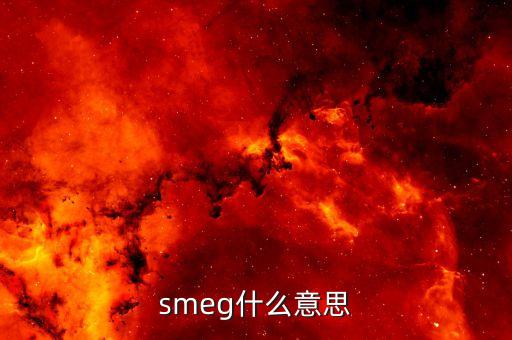 smeg什么意思