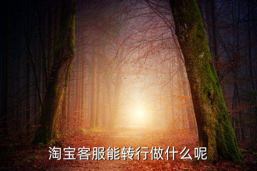 客服主管轉(zhuǎn)行做什么，客服轉(zhuǎn)行能做什么