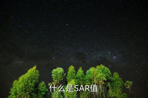 什么是sar指標(biāo)，什么是SAR