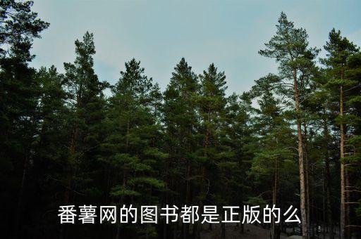 方正番薯什么公司，方正集團怎么樣