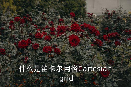 什么是笛卡爾網(wǎng)格Cartesian grid