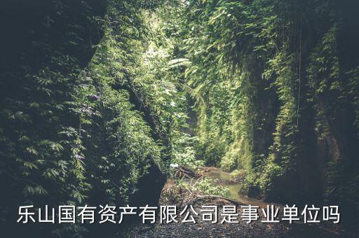 樂山國有資產(chǎn)有限公司是事業(yè)單位嗎