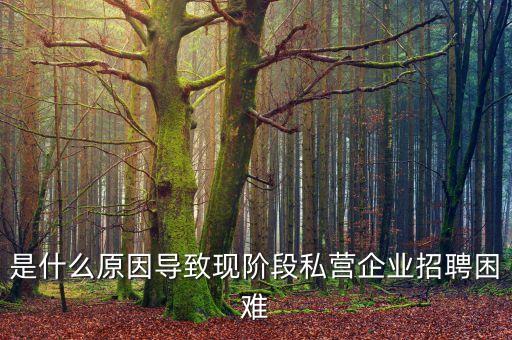 是什么原因?qū)е卢F(xiàn)階段私營(yíng)企業(yè)招聘困難