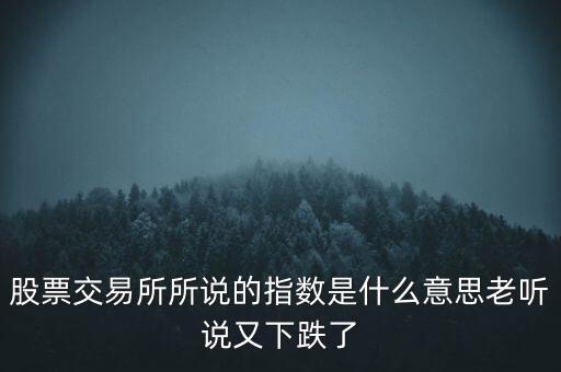 股票交易所所說(shuō)的指數(shù)是什么意思老聽(tīng)說(shuō)又下跌了