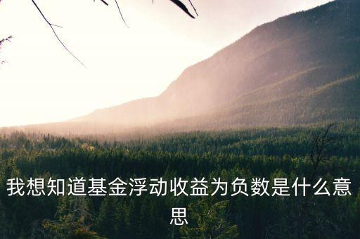 我想知道基金浮動(dòng)收益為負(fù)數(shù)是什么意思