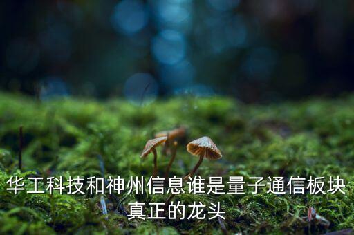 華工科技和神州信息誰是量子通信板塊真正的龍頭