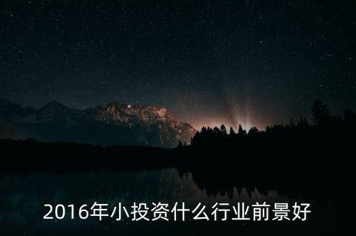 2016年小投資什么行業(yè)前景好