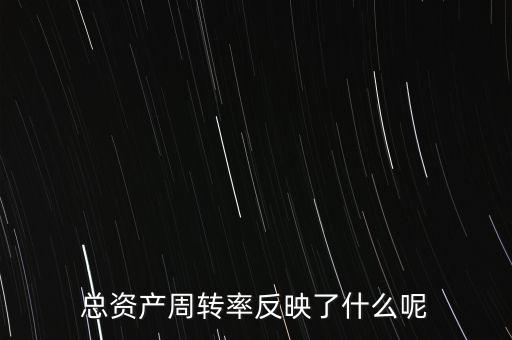 總資產(chǎn)周轉(zhuǎn)率反映了什么呢