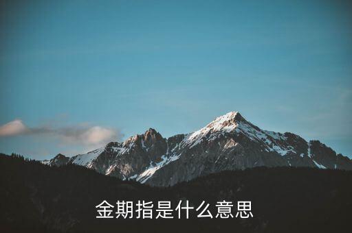 金期指是什么意思