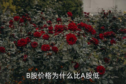 為什么B股比A股好，A股好還是B股好