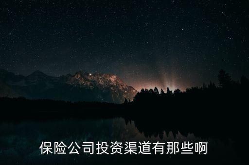 保險(xiǎn)公司投資渠道有那些啊