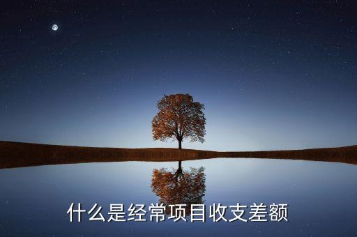 什么是經(jīng)常項目收支差額