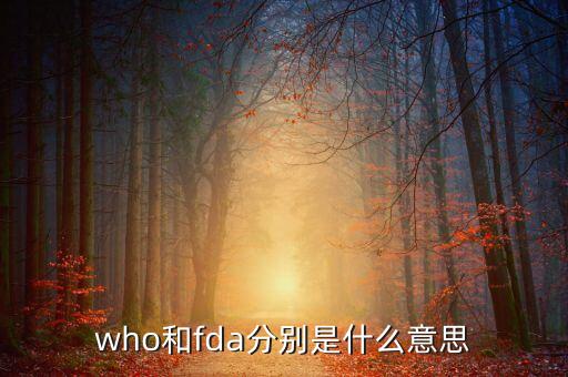 who預認證什么意思，who是什么意思