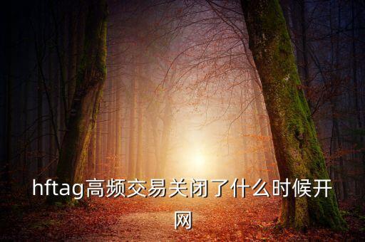 hftag高頻交易關(guān)閉了什么時候開網(wǎng)