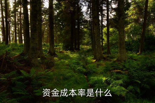 什么是資本成本率，資本成本與資本成本率區(qū)別