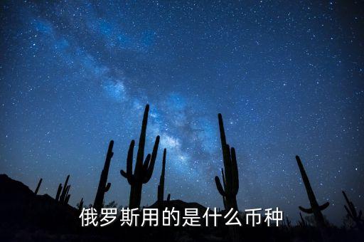 中國(guó)預(yù)付款俄羅斯是什么幣，俄羅斯用的是什么幣種