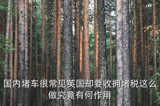 國(guó)外為什么要征收交通擁堵費(fèi)，為什么要收擁堵費(fèi)