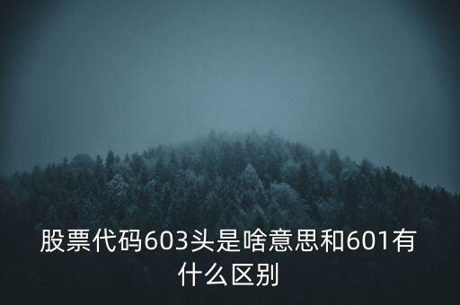 股票代碼603頭是啥意思和601有什么區(qū)別