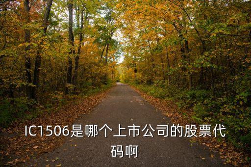 中證1506代表什么，三大股指期貨的名稱及快捷代碼以及它們對(duì)應(yīng)哪些板塊