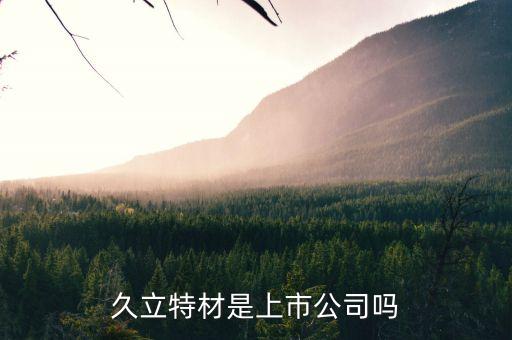 久立特材是上市公司嗎