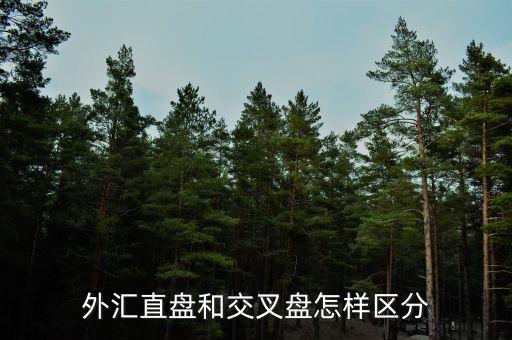 什么叫交叉盤，什么叫交叉盤hg0088誰能跟我指點一下嗎