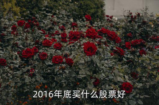 2016年底買什么股票好