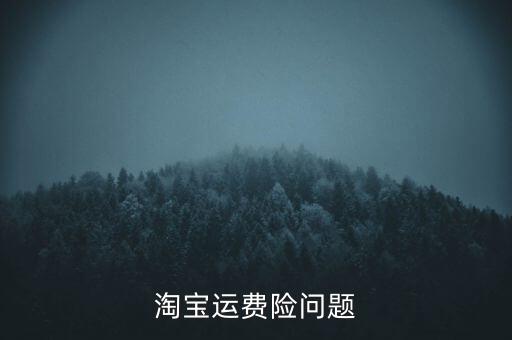 淘寶什么時候推出運(yùn)費險，tb的運(yùn)費險怎么回事